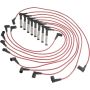 Autopart International Ignition Wire Set 250079403