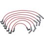 Autopart International Ignition Wire Set 250079470