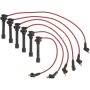 Autopart International Ignition Wire Set 250079572
