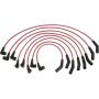 Autopart International Ignition Wire Set 250079594