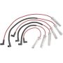 Autopart International Ignition Wire Set 250079607