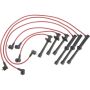 Autopart International Ignition Wire Set 250079641