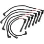 Autopart International Ignition Wire Set 250079696