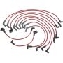 Autopart International Ignition Wire Set 250079806