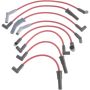 Autopart International Ignition Wire Set 250079835
