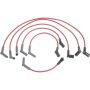 Autopart International Ignition Wire Set 250079839