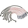 Autopart International Ignition Wire Set 250079843