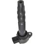 Autopart International Ignition Coil 2505307658