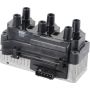 Autopart International Ignition Coil 250534618