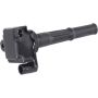 Autopart International Ignition Coil 250534660