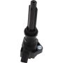 Autopart International Ignition Coil 2505555841