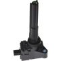 Autopart International Ignition Coil 2505691066