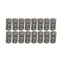 COMP Cams 1.301in OD Dual Springs 1.900in Installed Height (Set of 16)
