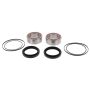Pivot Works PWRWK-Y67-450 Rear Wheel Bearing Kit