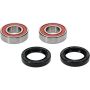 Pivot Works 25-1510-P Wheel Bearing Kit
