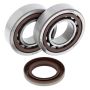 All Balls Racing 24-1106 08-09 KTM XC 450 ATV Crank Shaft Bearing Kit