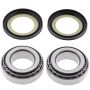 All Balls Racing 22-1003 Steering Bearing Kits