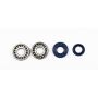 Athena P400130444001 Bearing & Oil Seal Kits