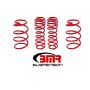 BMR Suspension SP075R Lowering Springs, Set Of 4, Drag, GT500