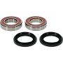 Pivot Works 25-1660-P Yamaha Wheel Bearing Kit Premium Bearings