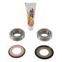 Pivot Works PWSSK-H04-420 83-86 Honda ATC250R PW Steering Stem Bearing Kit