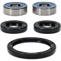 Pivot Works 25-1187-P Honda, Suzuki, Yamaha Wheel Bearing Kit Premium Bearings