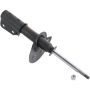 Autopart International Strut Assembly 270108487