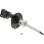 Autopart International Strut Assembly 270108596