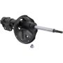Autopart International Strut Assembly 270108598