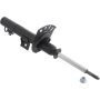 Autopart International Strut Assembly 270108993