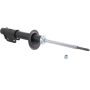 Autopart International Strut Assembly 270108995