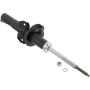 Autopart International Strut Assembly 270109679
