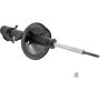 Autopart International Strut Assembly 270109764