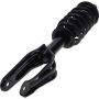 Autopart International Strut/Coil Spring Assy 2701105360