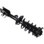 Autopart International Strut/Coil Spring Assy 2701106084