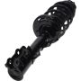 Autopart International Strut/Coil Spring Assy 2701106089