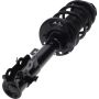 Autopart International Strut/Coil Spring Assy 2701106090