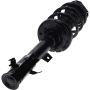 Autopart International Strut/Coil Spring Assy 2701106095