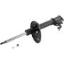 Autopart International Strut Assembly 2701204633