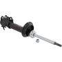 Autopart International Strut Assembly 2701204637