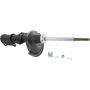 Autopart International Strut Assembly 2701204645