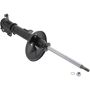 Autopart International Strut Assembly 2701204650