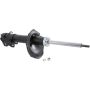 Autopart International Strut Assembly 2701236112
