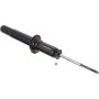 Autopart International Strut Assembly 2701248126