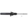 Autopart International Strut Assembly 2701248190