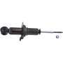 Autopart International Strut Assembly 2701248202
