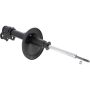 Autopart International Strut Assembly 2701248225