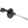 Autopart International Strut Assembly 2701248226