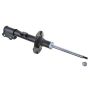 Autopart International Strut Assembly 2701248230