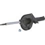 Autopart International Strut Assembly 2701248233